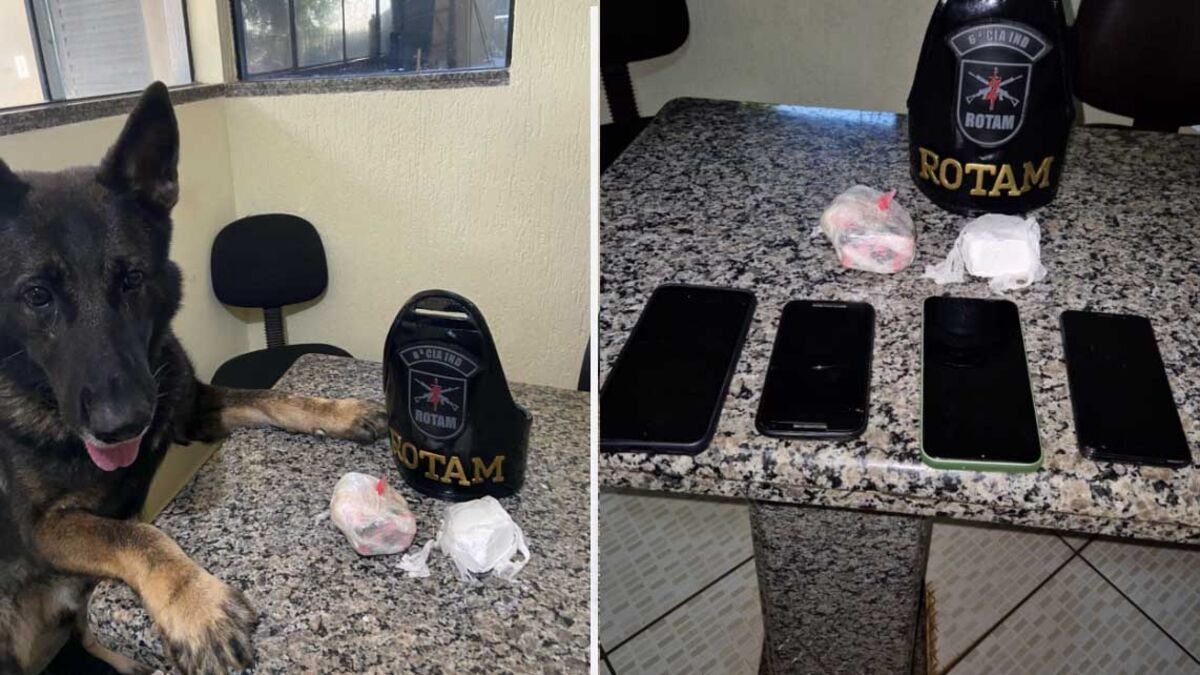 Operação "Elo" em São João do Ivaí resulta em prisão e apreensões